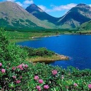 Meet your Posher, Omar